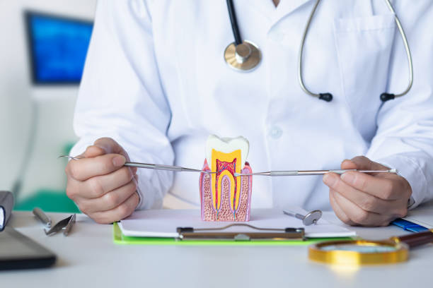 Best Emergency Dental Services for Seniors in Chester Gap, VA